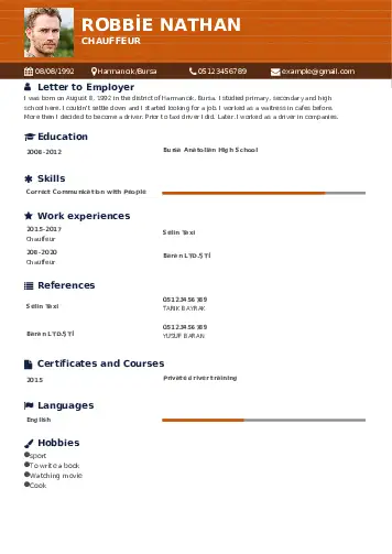 Driver resume example